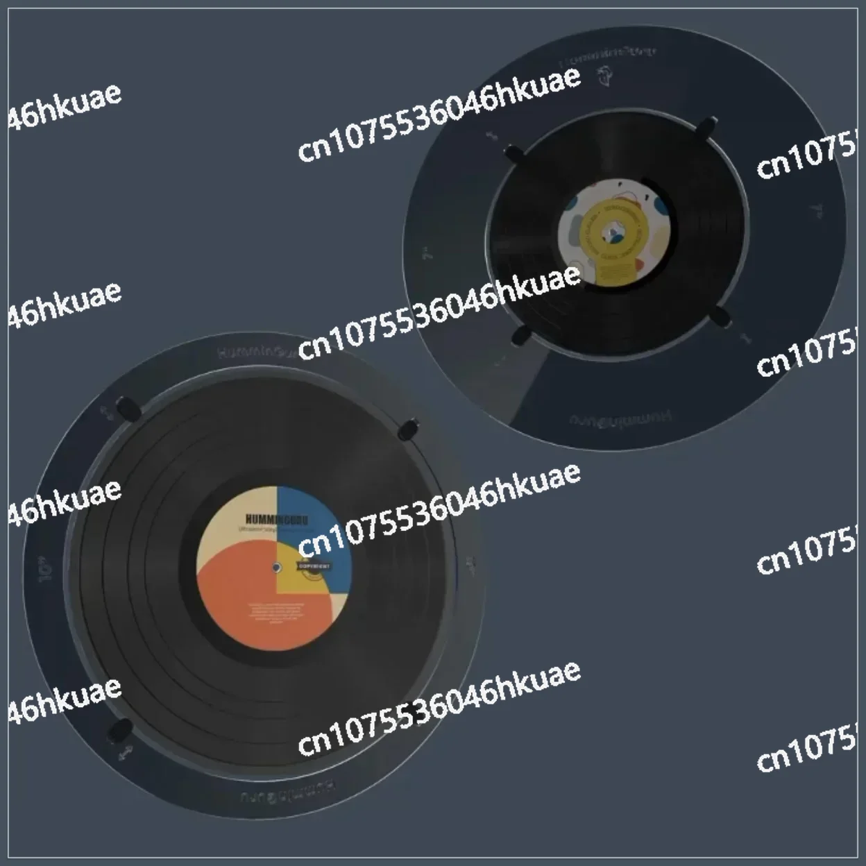 Vinyl Record Cleaner - Nettoyeur de disques vinyles à ultrasons